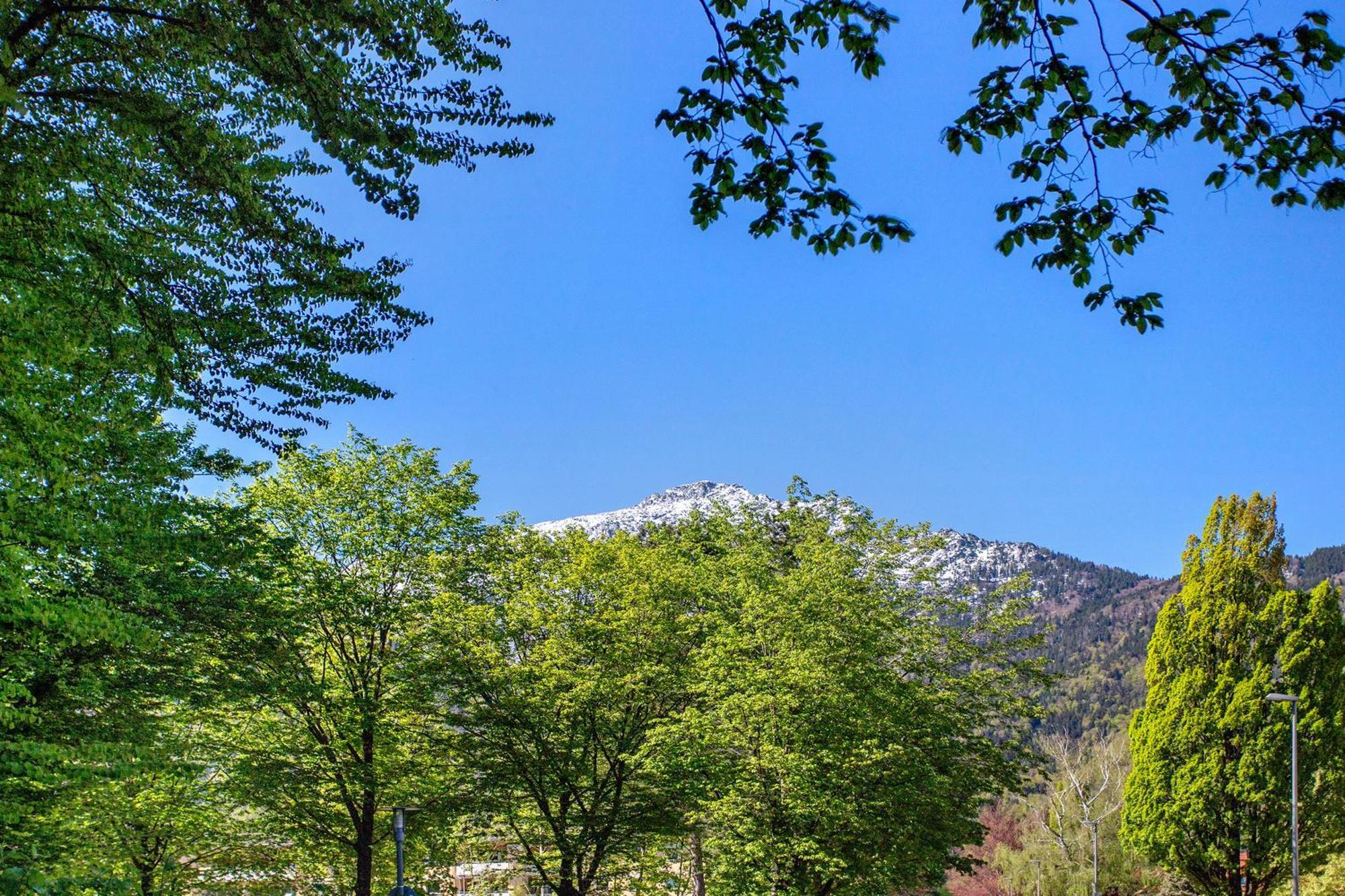 The View Appartement Bad Reichenhall Buitenkant foto